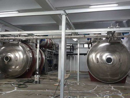 Thailand tropical fruit Vacuum Freeze Drying Processing Line