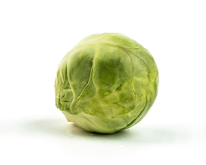 Vegetable