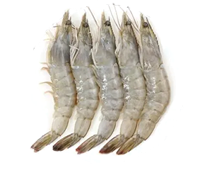 Seafood