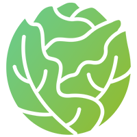 Cabbages