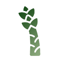 Asparagus Lettuce