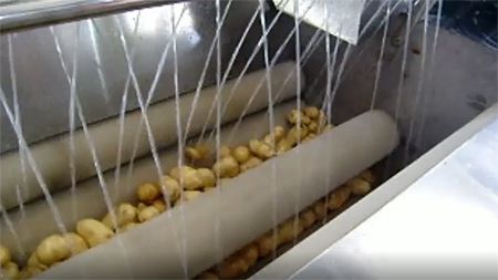 HXJ Vegetable Washing Peeling Machine