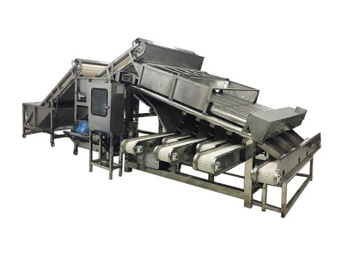 XSJ-12 Shrimp Grader / Prawn Grader