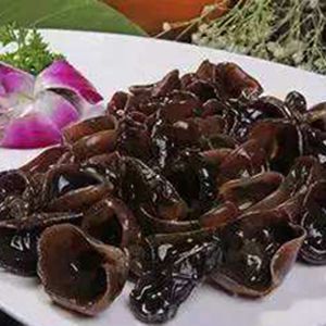 Fresh Edible Fungus